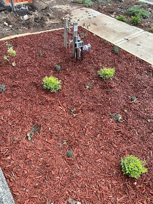 Smart Water project 5