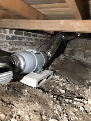 Smiths Pest Control Services Sydney project 5