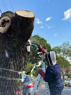 Smiths Pest Control Services Sydney project 6