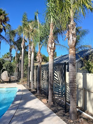 South Coast Tree Services photo 2