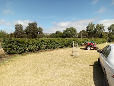 South Coast Tree Services work 4