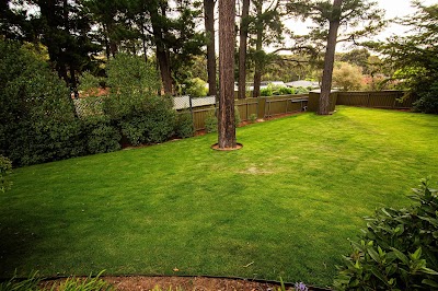 Southern Earth Landscaping