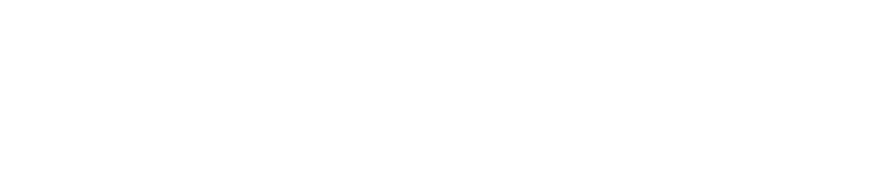 Southern Industrial Plumbing Group