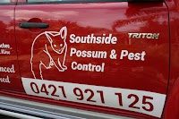 Southside possum and pest control