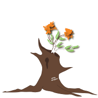 Spare Thoughts Landscape Design