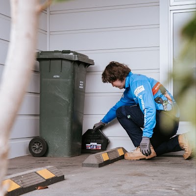 Spiderman SE Eco Pest Management project 5