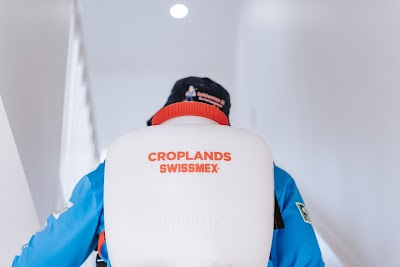 Spiderman SE Eco Pest Management project 6