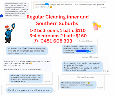 Spotless Professional cleaning services project 5