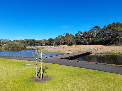 Spruce Quality Decks project 6