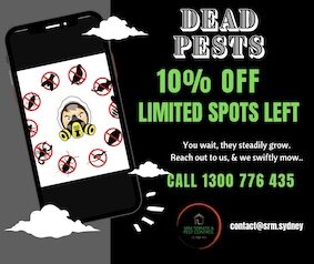 SRM Termite & Pest Control