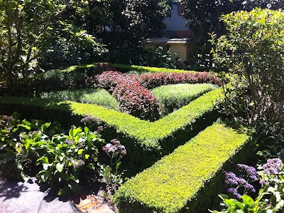 Steadfast Horticultural Services photo 2