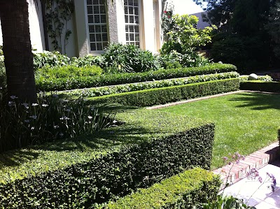 Steadfast Horticultural Services photo 3