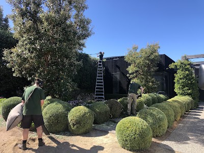 Steadfast Horticultural Services project 6