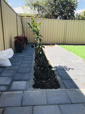 Sunrise Garden and Tree Services work 2