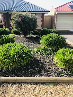 Sunrise Garden and Tree Services work 4