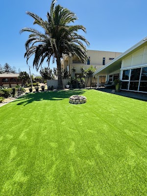 Sunrise Garden and Tree Services project 5