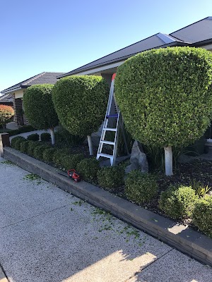 Sunrise Garden and Tree Services