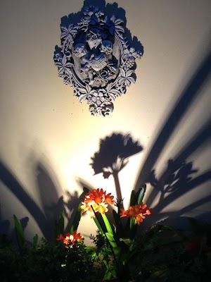 Sunshower Elsternwick photo 2