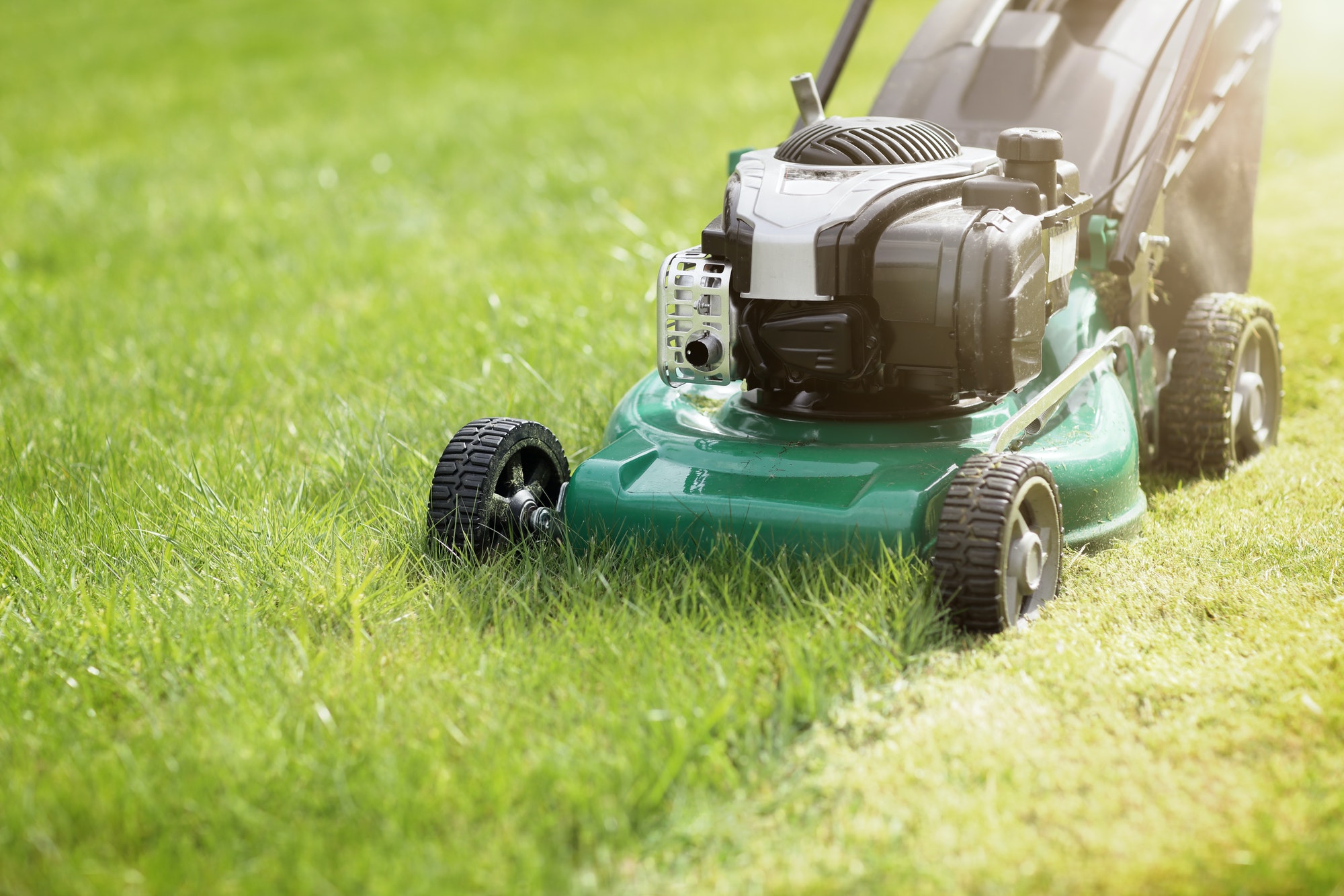 Surf the Turf Gardening