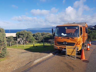 Surfcoast Tree Services project 6