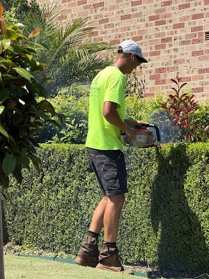 Sutherland Shire Lawn & Garden project 5