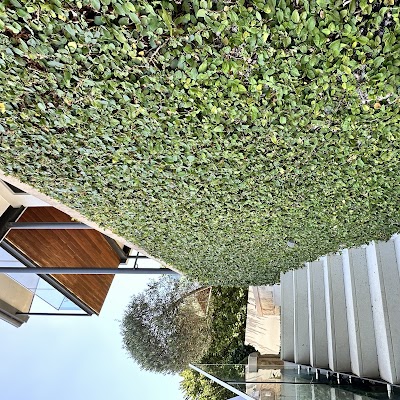 Sutherland Shire Lawn & Garden