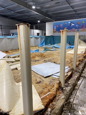 Swimart Liverpool project 6