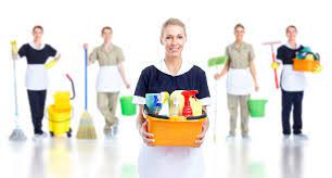 Sydney Domestic Cleaners