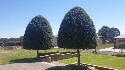 Sydney Gardening & Maintenance Pty Ltd photo 2