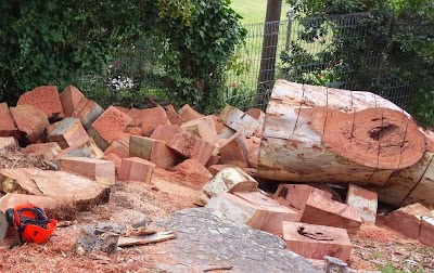 Sydney Tree Works project 4