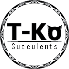 T-Ko Succulents