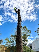 T4 Tree Services
