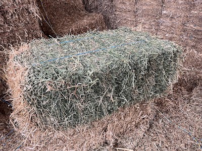 Tannery Lane Sand and Soil work 4