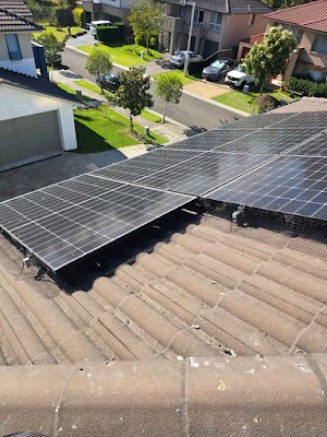 Termiticidal Pest & Termite Management photo 3