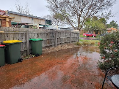 Terrific Trees photo 2