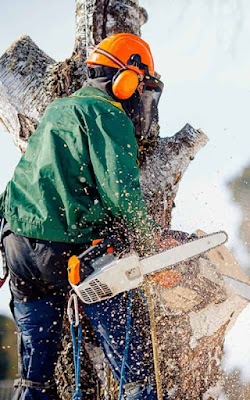 Terrific Trees project 6