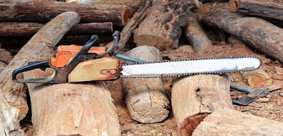 Terrific Trees photo 1