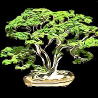 TGS Gardens and Maintenance