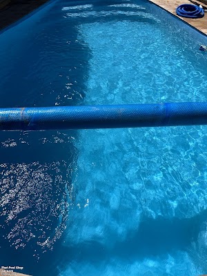 That Pool Shop (Mobile Service) photo 3