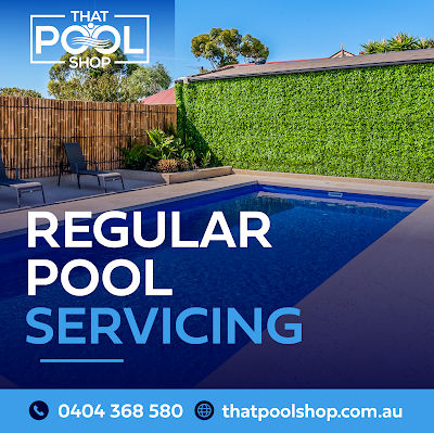 That Pool Shop (Mobile Service) work 4