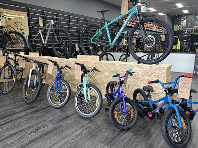 The Bike Shed Mortdale project 5