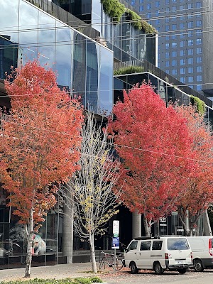 The City Tiler project 6