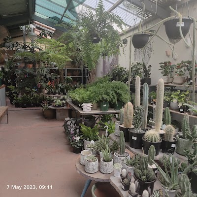 The Garden of Eden Nursery work 2