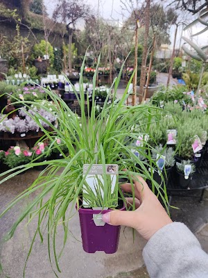 The Garden of Eden Nursery work 4