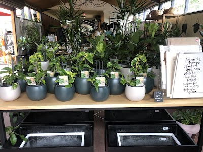 The Garden of Eden Nursery project 6