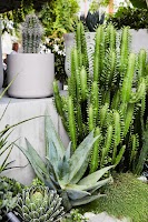 The Green Landscapes and Design