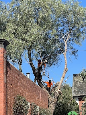 The Higher Climber Tree Services photo 2