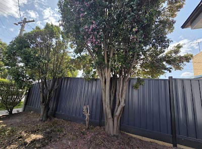 The Higher Climber Tree Services photo 3