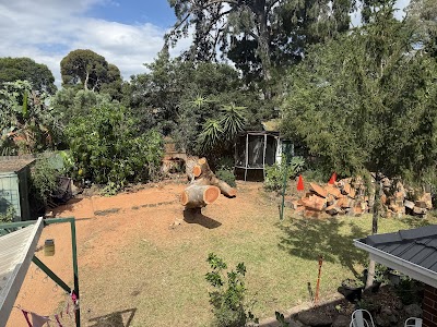 The Higher Climber Tree Services project 5