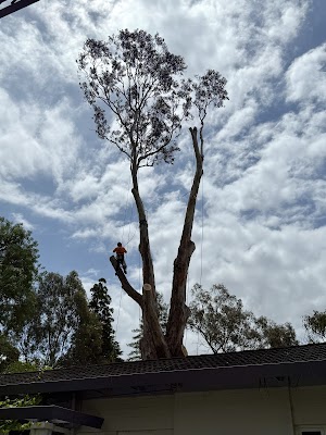 The Higher Climber Tree Services photo 1